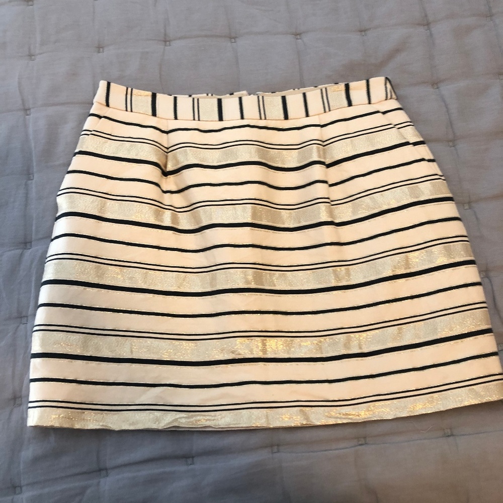 J Crew Skirt